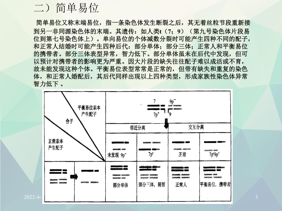 第六章染色体易位Ppt课件.ppt_第3页