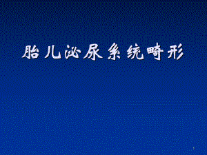 胎儿泌尿系统畸形PPT课件.ppt