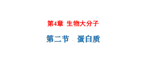 （2019）新人教版高中化学选择性必修三4.2蛋白质 ppt课件.pptx