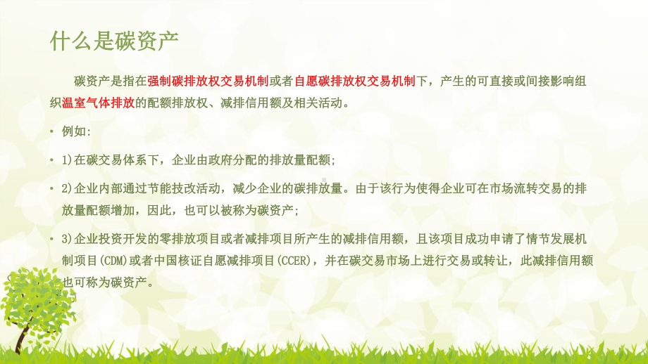 碳资产开发与管理-PPT课件.pptx_第3页