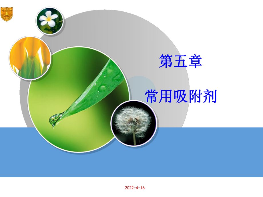 胶体与表面化学-第五章-常用吸附剂的结构、性能和改性课件.ppt_第1页