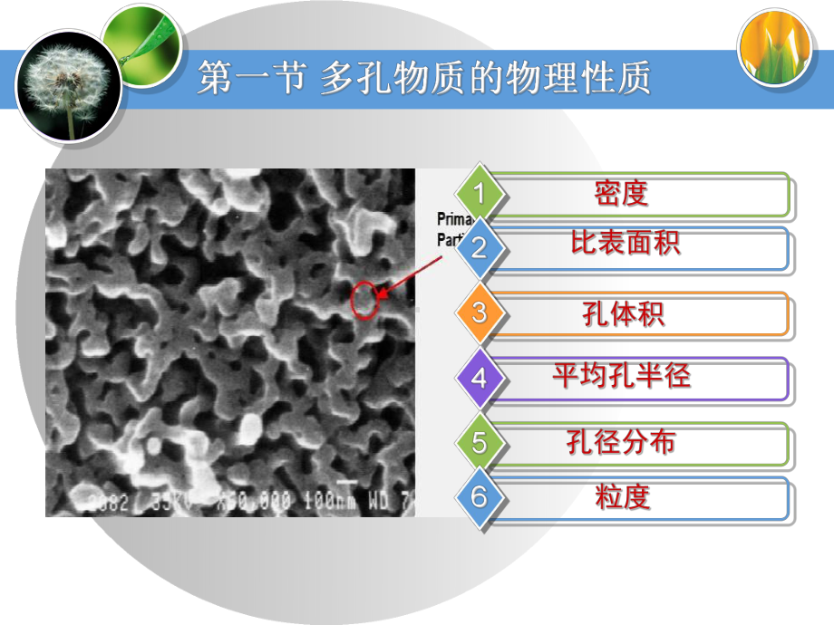 胶体与表面化学-第五章-常用吸附剂的结构、性能和改性课件.ppt_第3页