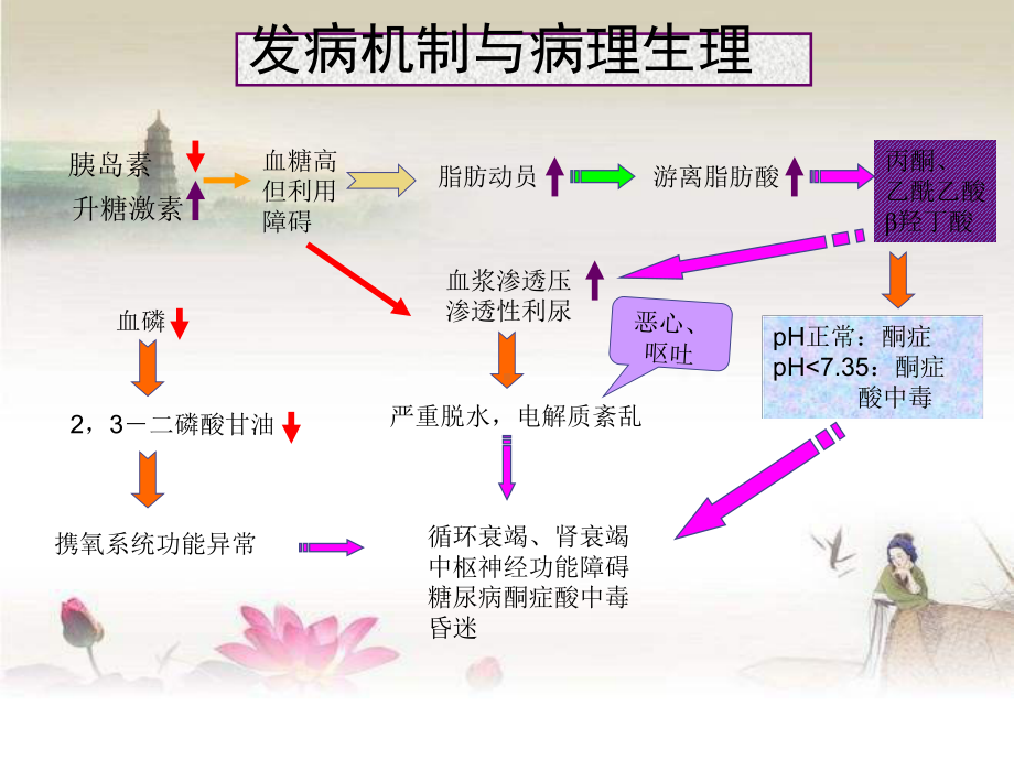 糖尿病酮症酸中毒与高渗性昏迷ppt课件.ppt_第3页