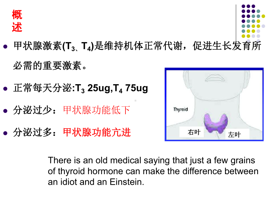 甲状腺及抗甲亢药课件.pptx_第3页