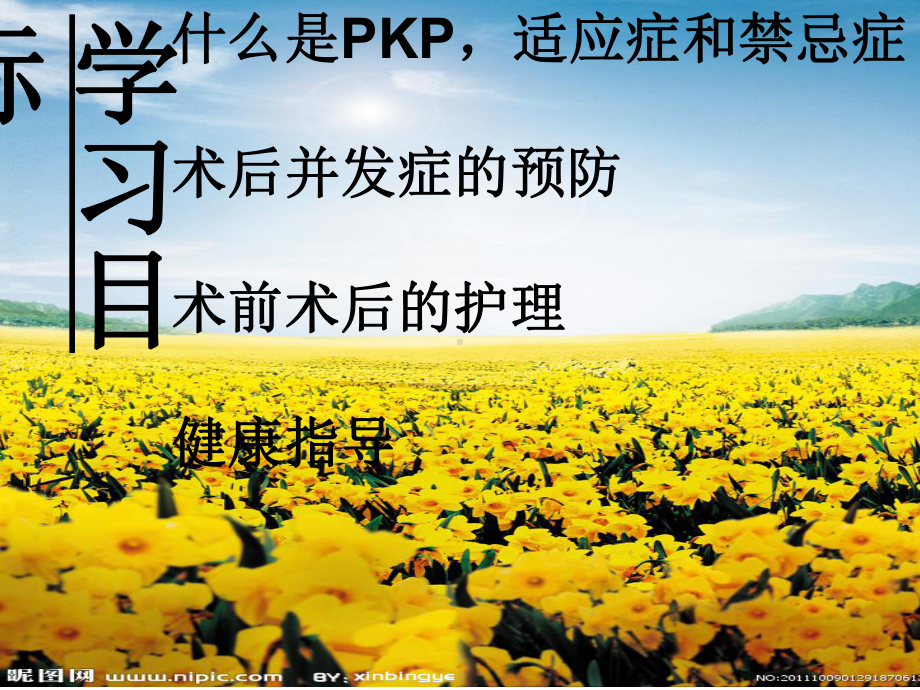 腰椎骨折pkp医疗护理查房PPT培训课件.ppt_第2页