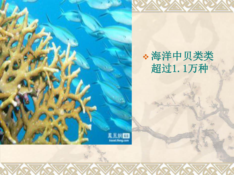 第4章+海洋的结构与海水的运动课件.ppt_第3页