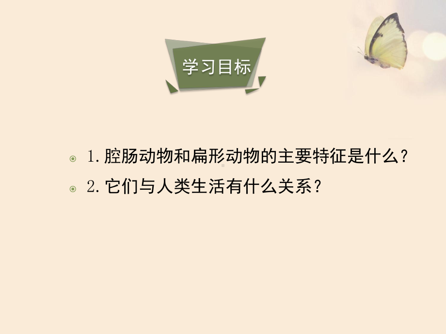 第一章动物的主要类群课件.pptx_第2页