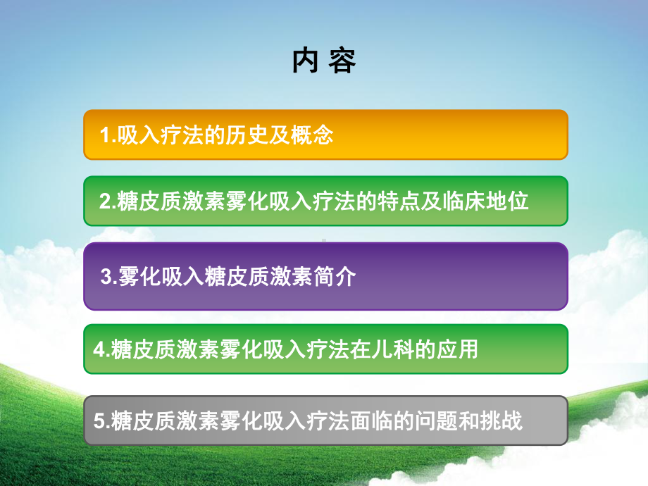 糖皮质激素雾化吸入疗法在儿科应用的专家共识修订版概要1课件.pptx_第2页