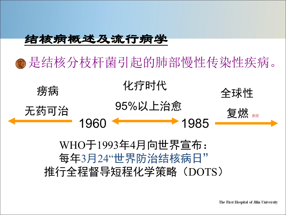 肺结核本科课件.pptx_第3页