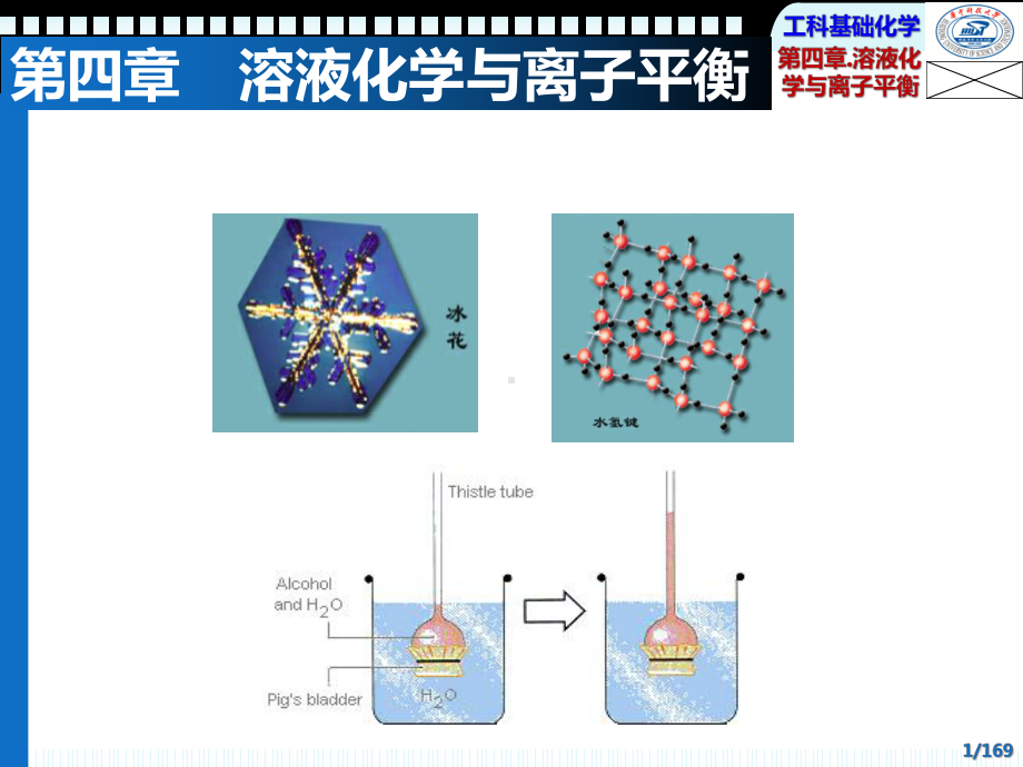 溶液化学与离子平衡解析课件.pptx_第1页