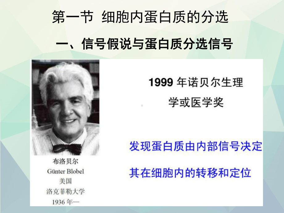 细胞生物学翟中和编蛋白质分选与膜泡运输课件.ppt_第2页