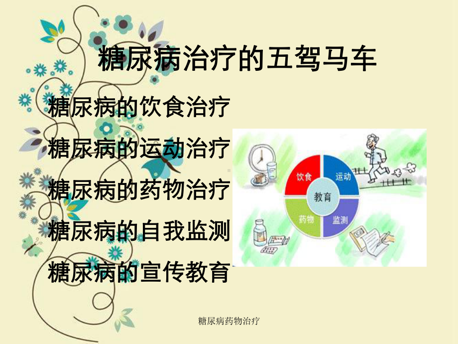 糖尿病药物治疗课件.ppt_第2页