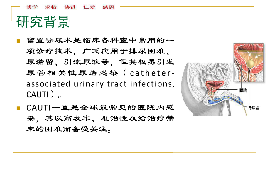 导尿管细菌生物膜的形成与尿管相关性尿路感染的关系.ppt_第2页