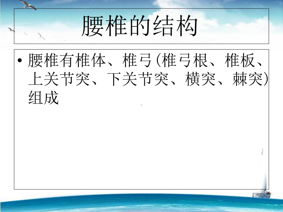 腰椎骨折护理讲课PPT培训课件.ppt_第3页