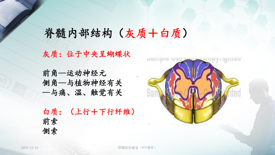 脊髓损伤康复(PPT课件).ppt_第2页