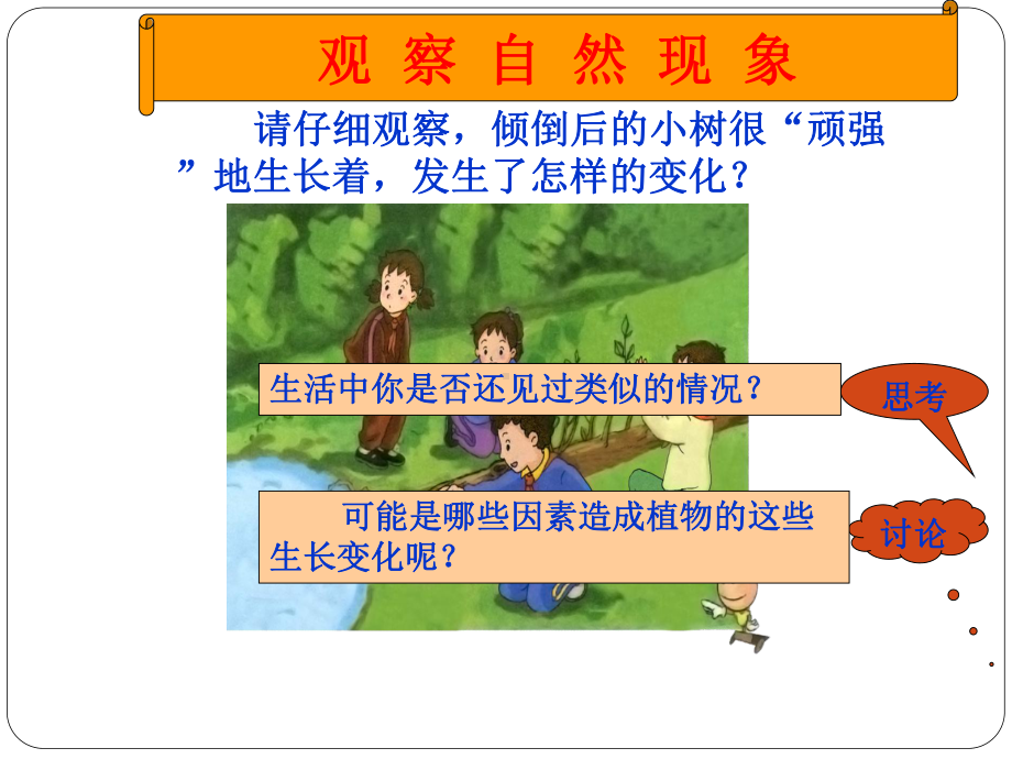 湘教版小学六年级科学上册全册课件（正品）.pptx_第3页