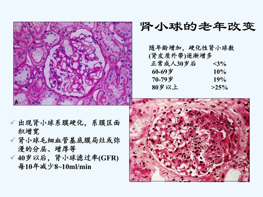 老年肾功能与用药(ppt)课件.ppt_第2页