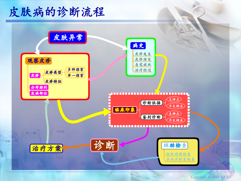 皮肤病的诊断课件.pptx_第3页