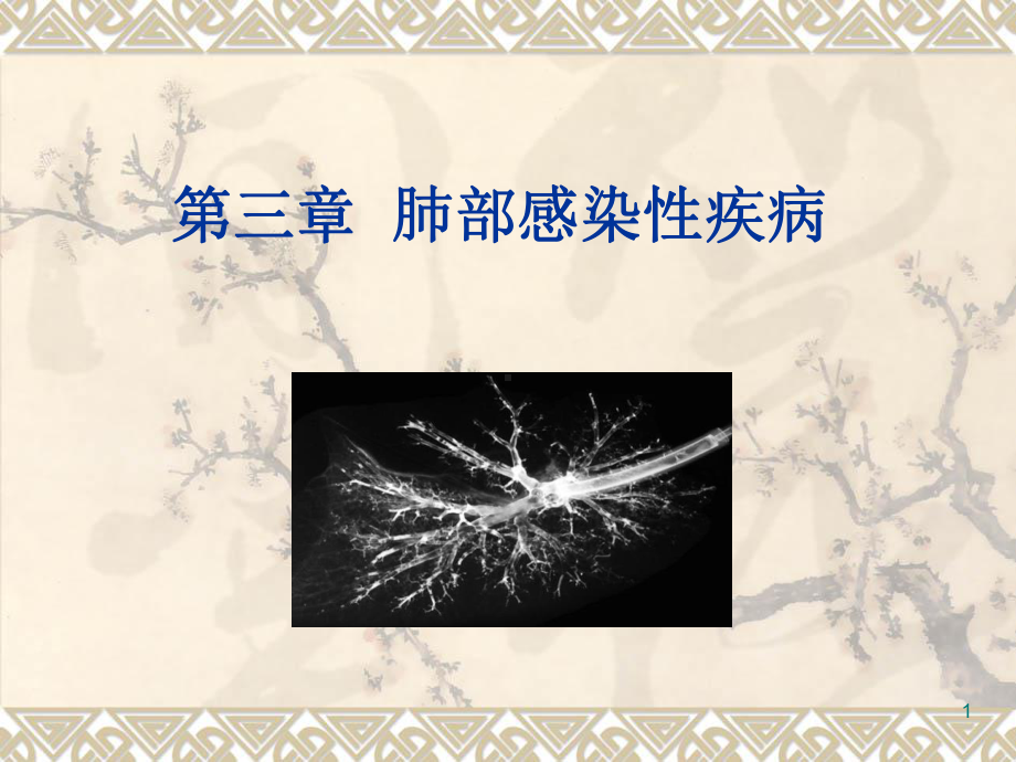 肺部感染性疾病影像学PPT课件.ppt_第1页