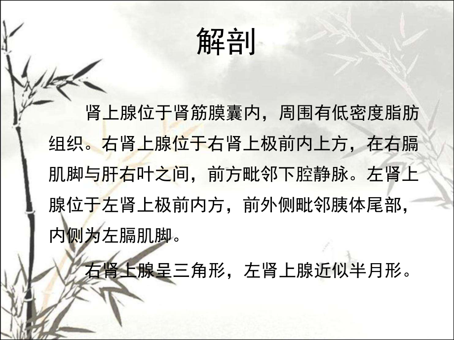 肾上腺肿瘤及瘤样病变的影像诊断ppt课件.ppt_第2页