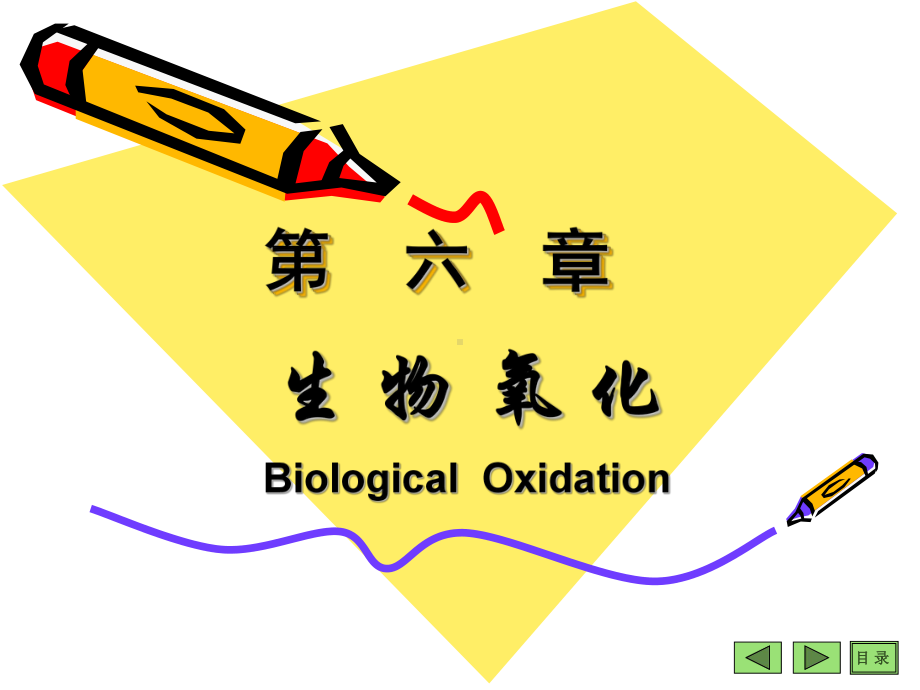 生物化学生物氧化PPT课件.pptx_第1页