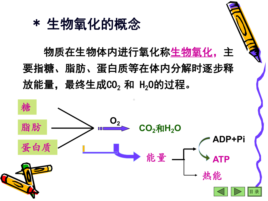 生物化学生物氧化PPT课件.pptx_第3页