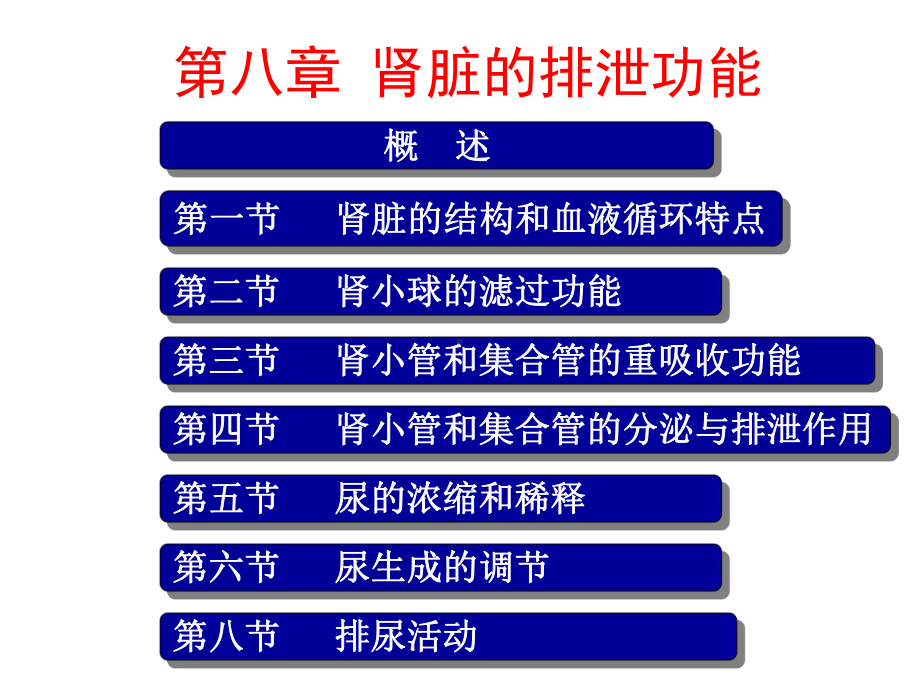 生理学肾脏的排泄功能课件.pptx_第1页