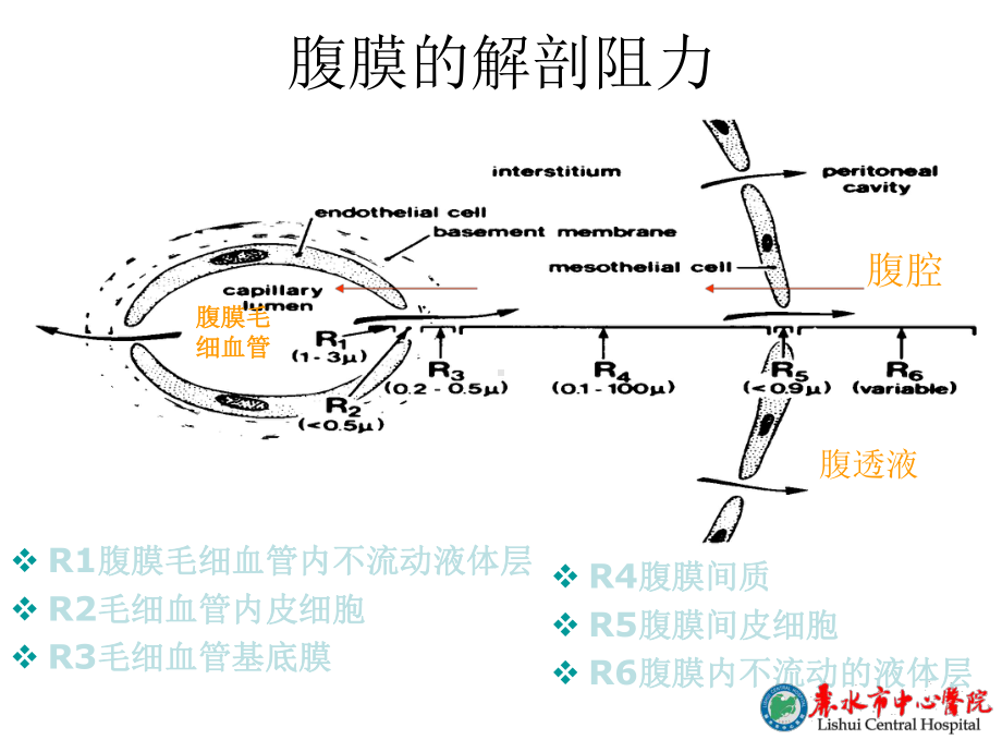 腹膜透析处方的制定及调整课件.pptx_第3页