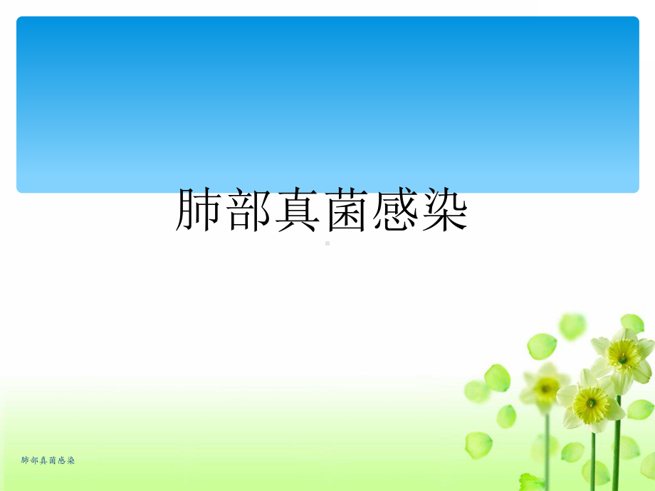 肺部真菌感染课件.ppt_第1页