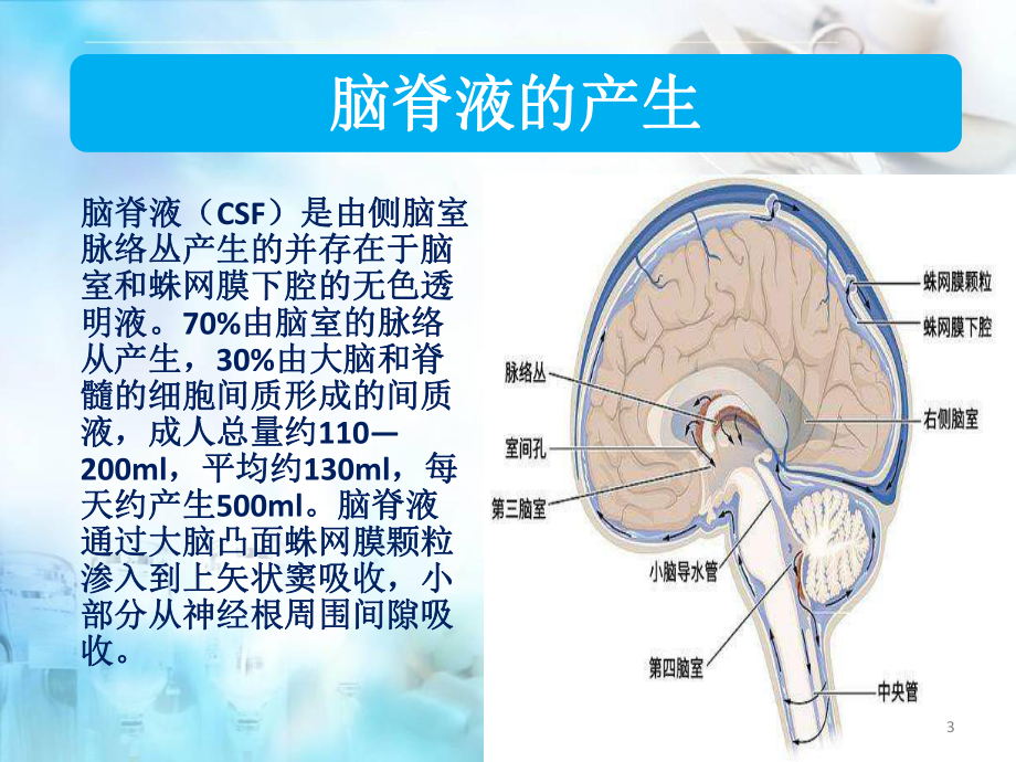 腰大池引流的护理-PPT课件.pptx_第3页