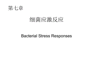 细菌应激反应课件.ppt