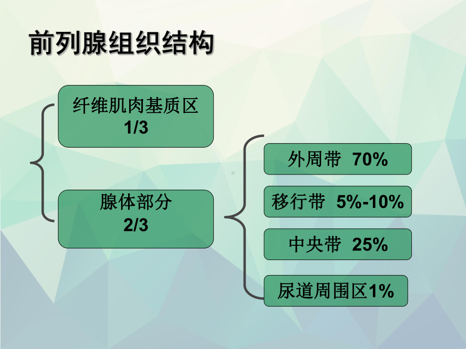 磁共振前列腺癌课件.ppt_第3页