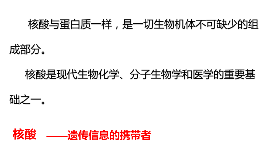 4.3 核酸 ppt课件（2019）新人教版高中化学高二选择性必修三.pptx_第2页