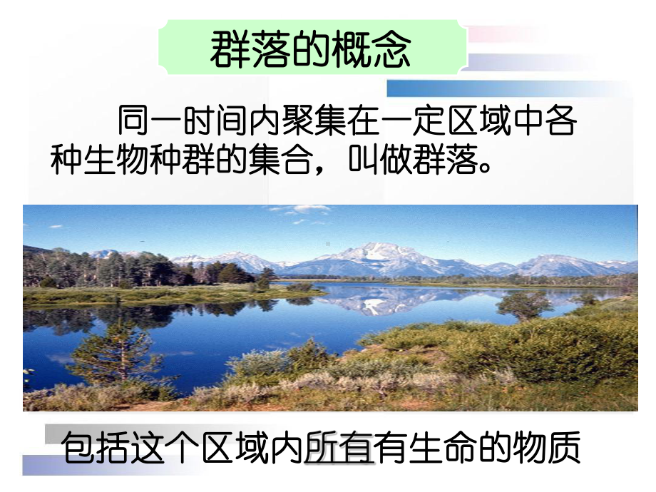 群落的结构非常详细课件.ppt_第3页