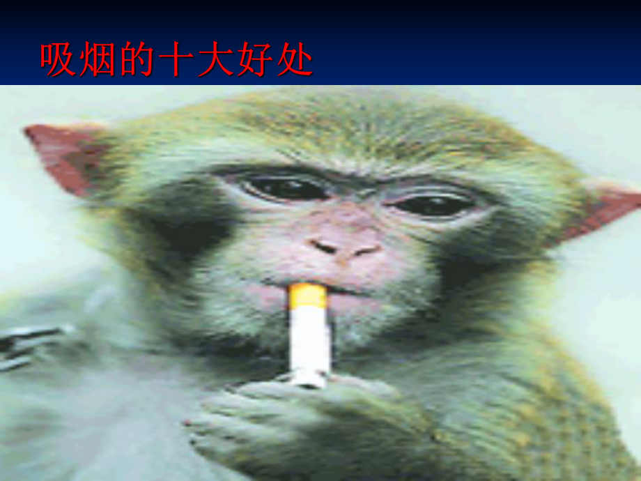 珍爱健康远离吸烟主题班会课件PPT.pptx_第2页