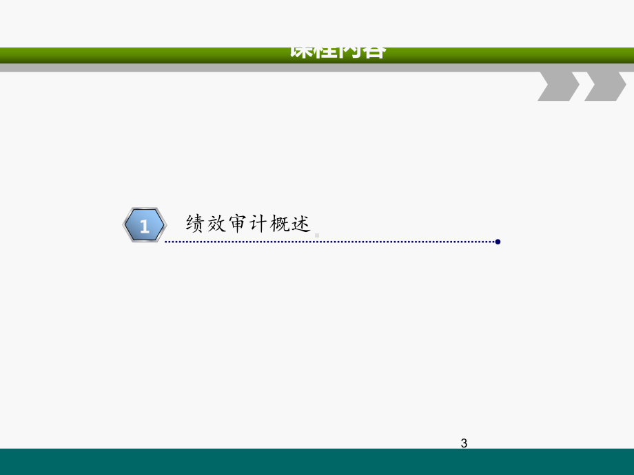 绩效审计的策略方法与实务案例课件.ppt_第3页