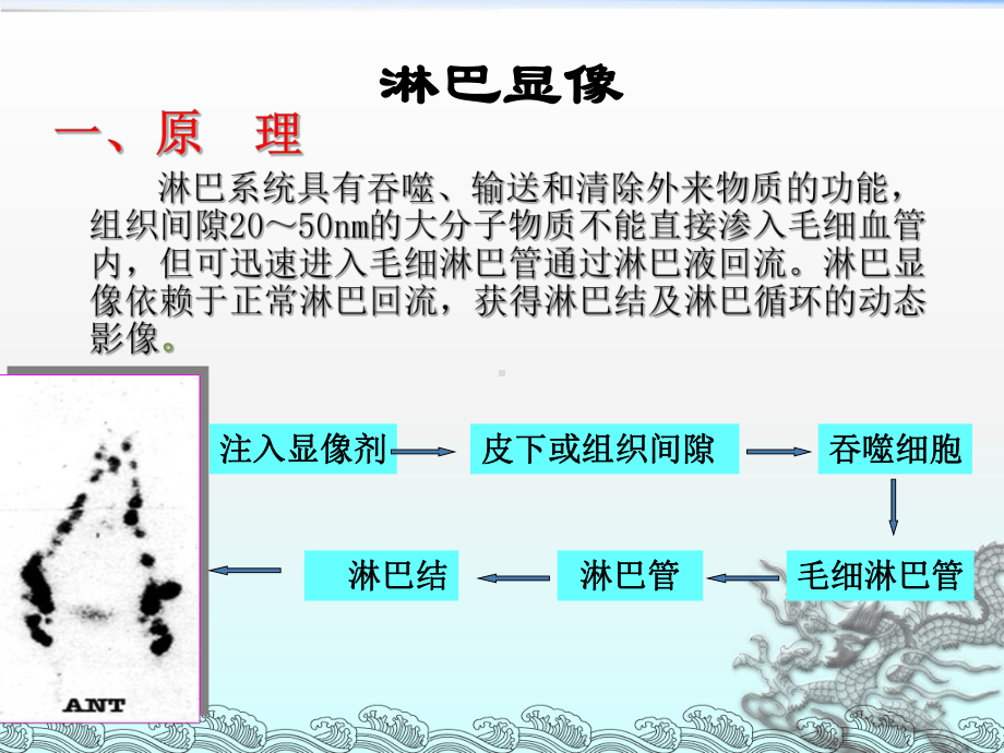 淋巴、消化系统-核医学课件.ppt_第3页