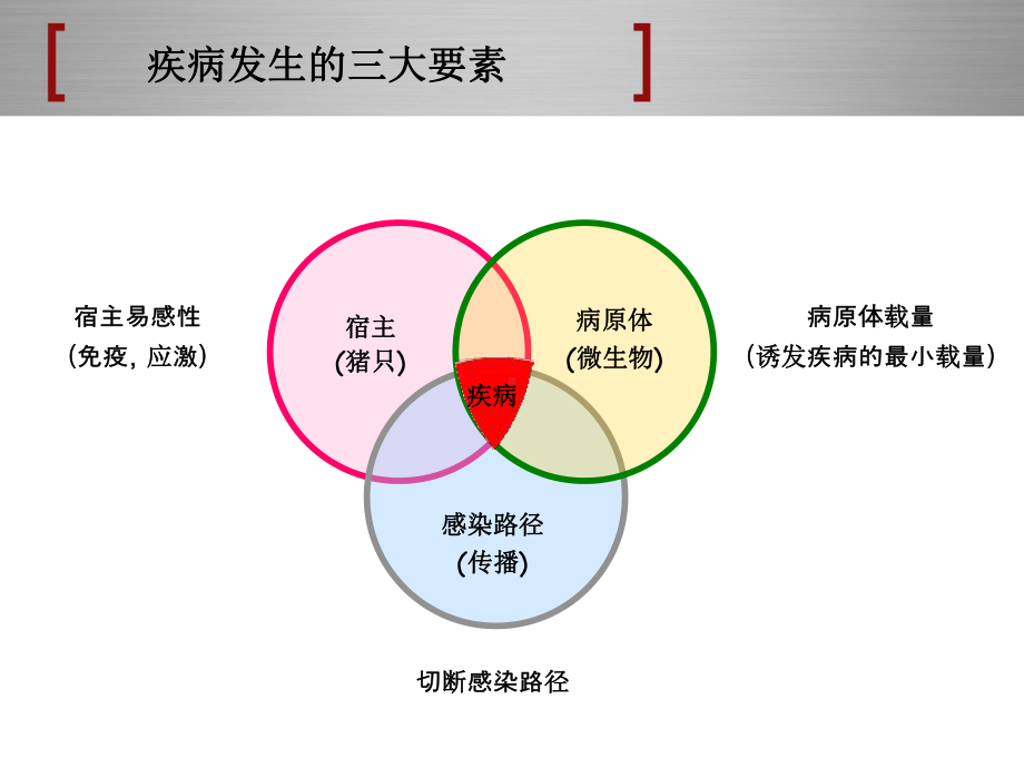 猪场消毒与防疫-PPT课件.ppt_第3页