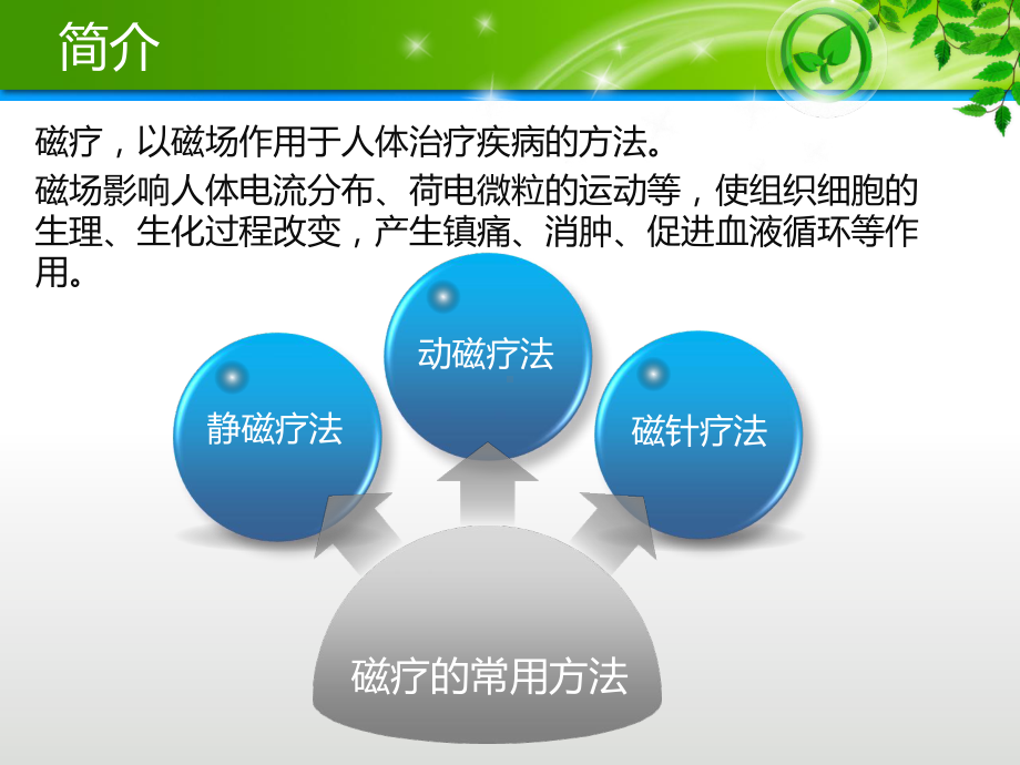 磁疗与健康PPT课件.ppt_第2页