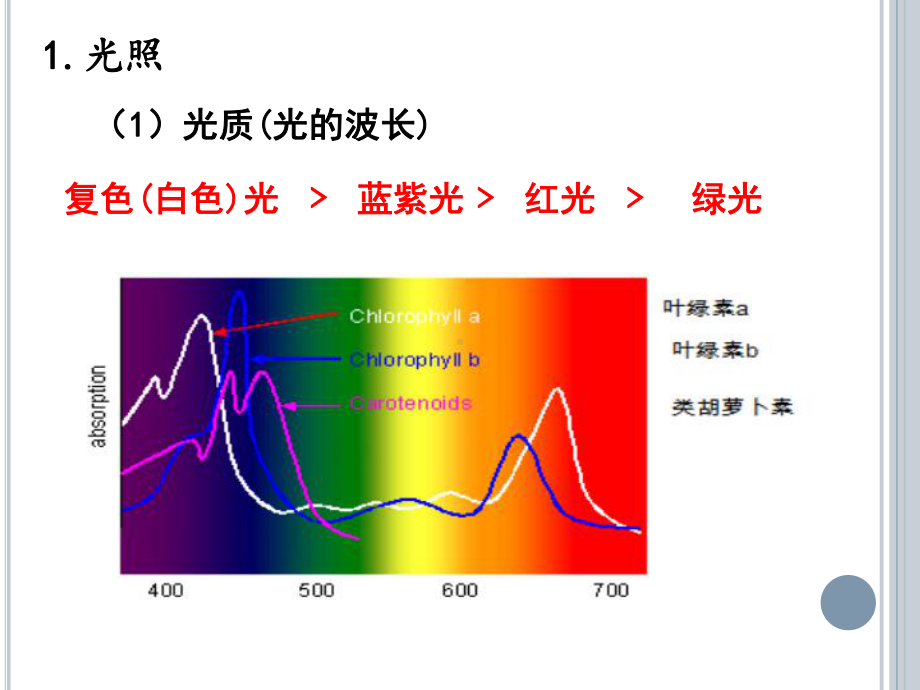 环境因素对光合速率的影响课件.pptx_第3页