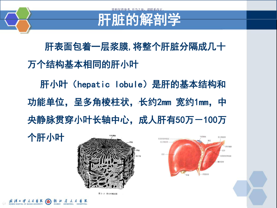 肝纤维化的中药治疗课件.ppt_第3页