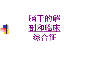 脑干的解剖和临床综合征-PPT医学课件.ppt