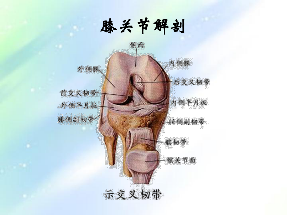 膝关节术后康复训练-PPT课件.ppt_第3页