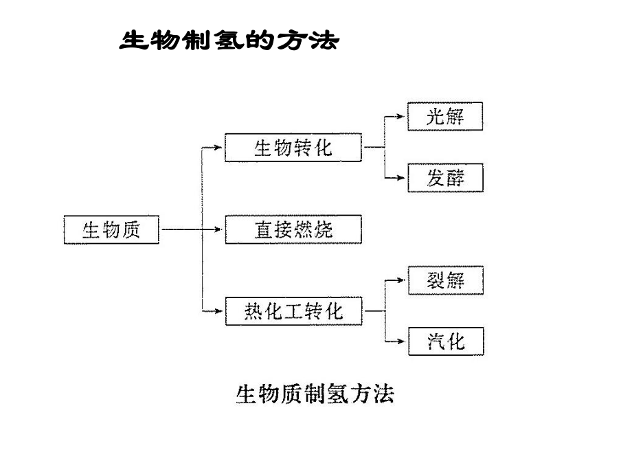 生物制氢PPT课件.ppt_第2页