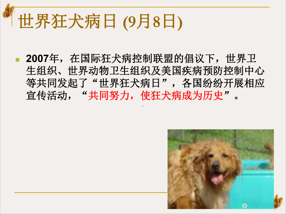 狂犬病讲课稿课件PPT.pptx_第1页