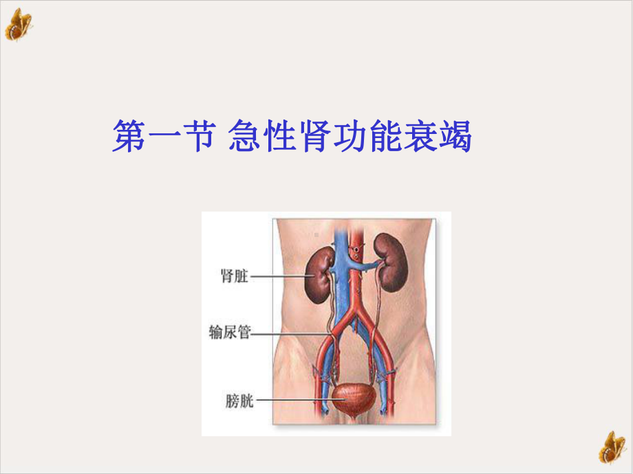 病生肾功能不全PPT课件.pptx_第2页