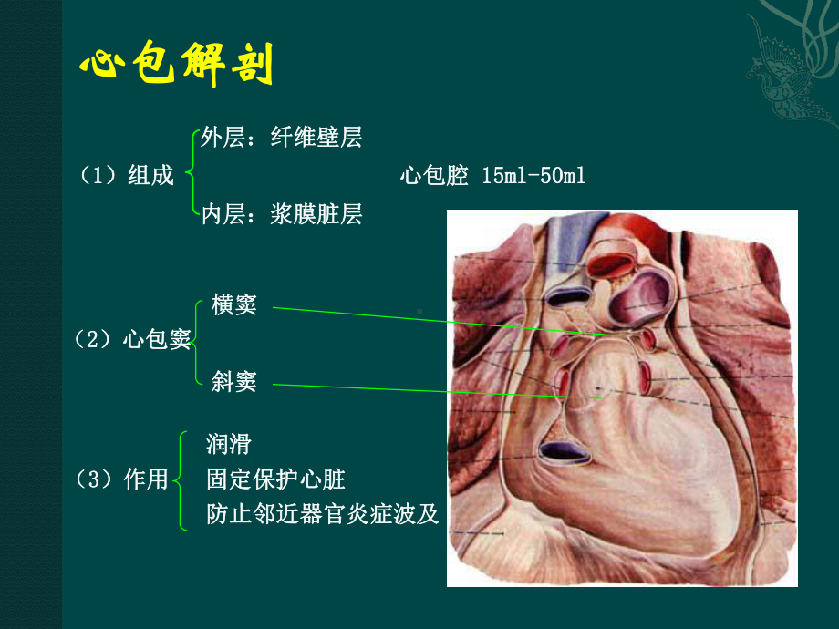 心包疾病课件.ppt_第2页