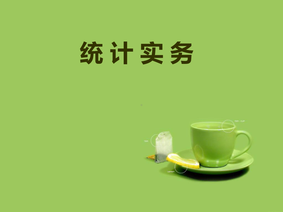 统计实务中级统计师考试PPT课件.ppt_第1页