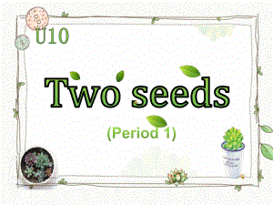 英语教学名师公开课精品课件：Two-seeds.pptx