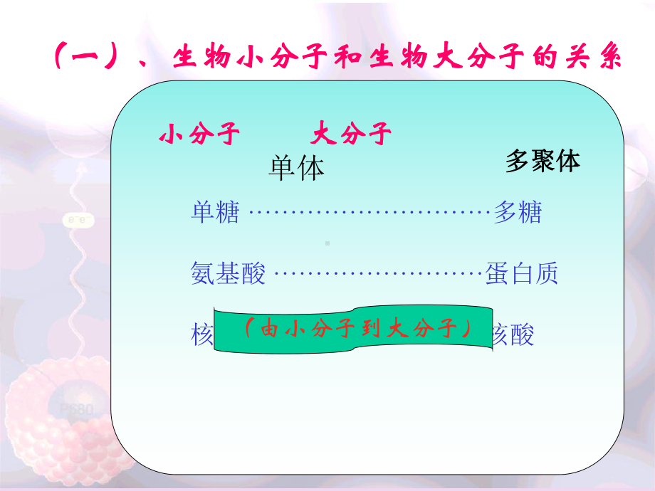 生物大分子PPT课件.ppt_第3页